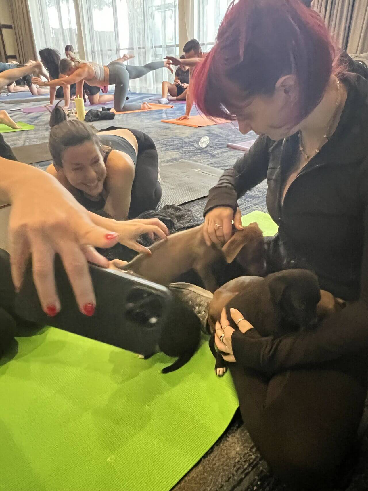 puppy yoga 7