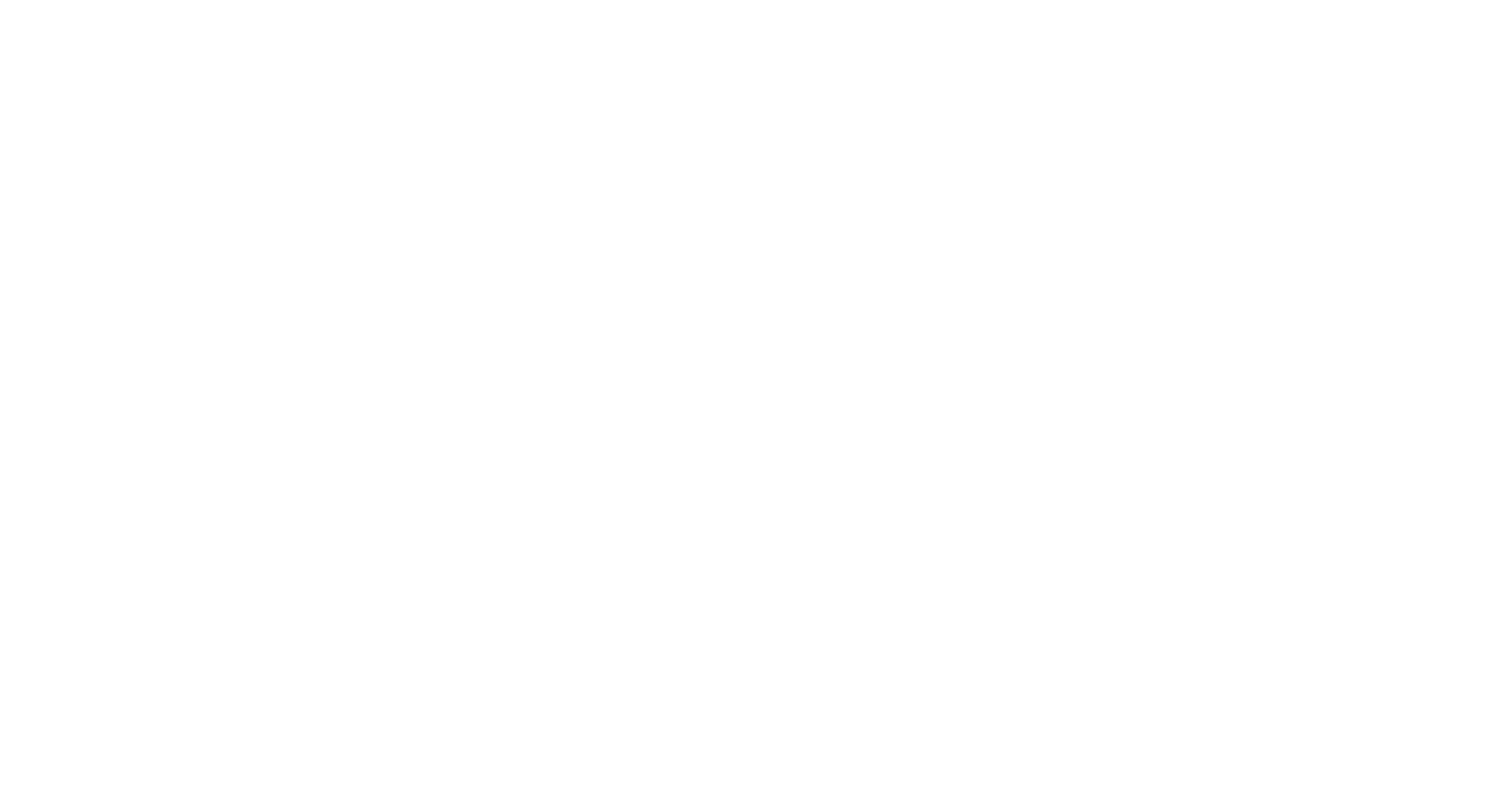 Swap Wordmark White